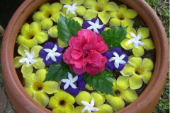 floating rangoli