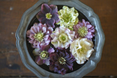 floating rangoli