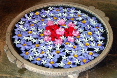 floating rangoli