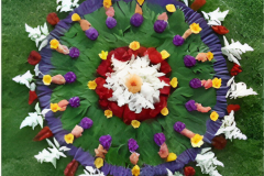 flower petal rangoli