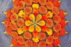 flower petals rangoli