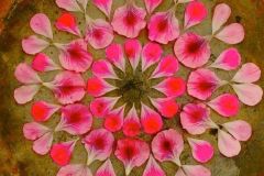 flower petals rangoli