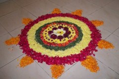 flower petals rangoli