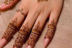Simpe Mehndi designs