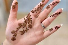 Simpe Mehndi designs