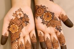 Simpe Mehndi designs